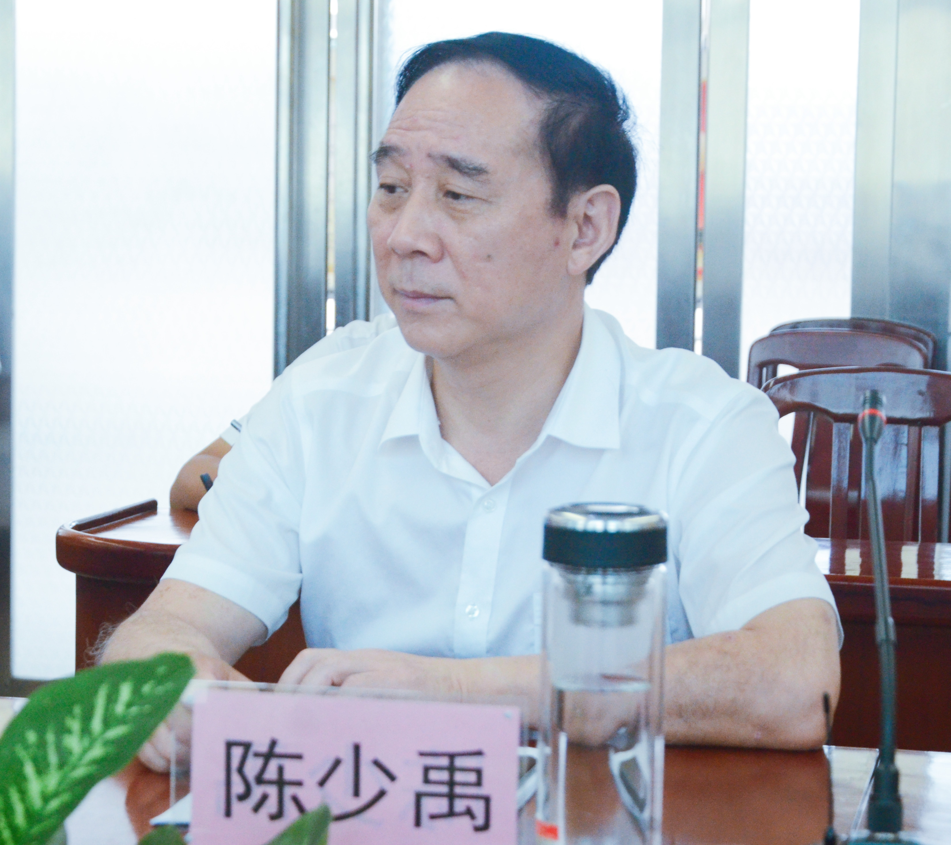 02陈少禹_副本.jpg