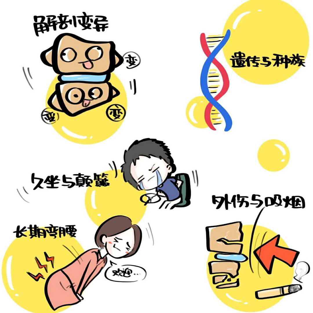 骨三图2.jpg