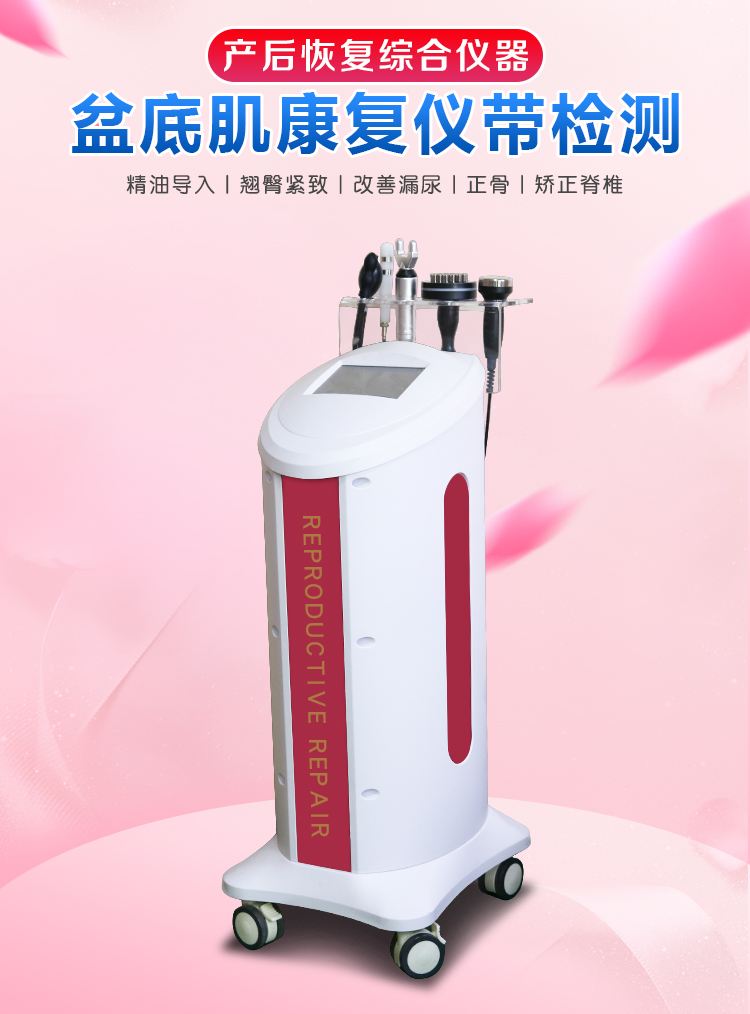 006盆底肌.jpg