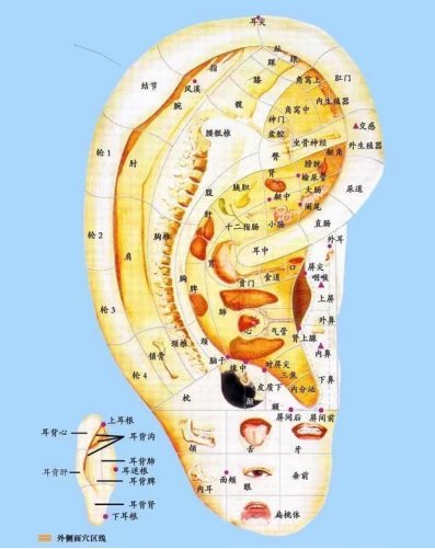 4同心学齐进步 耳医学组在行动(1)595.png