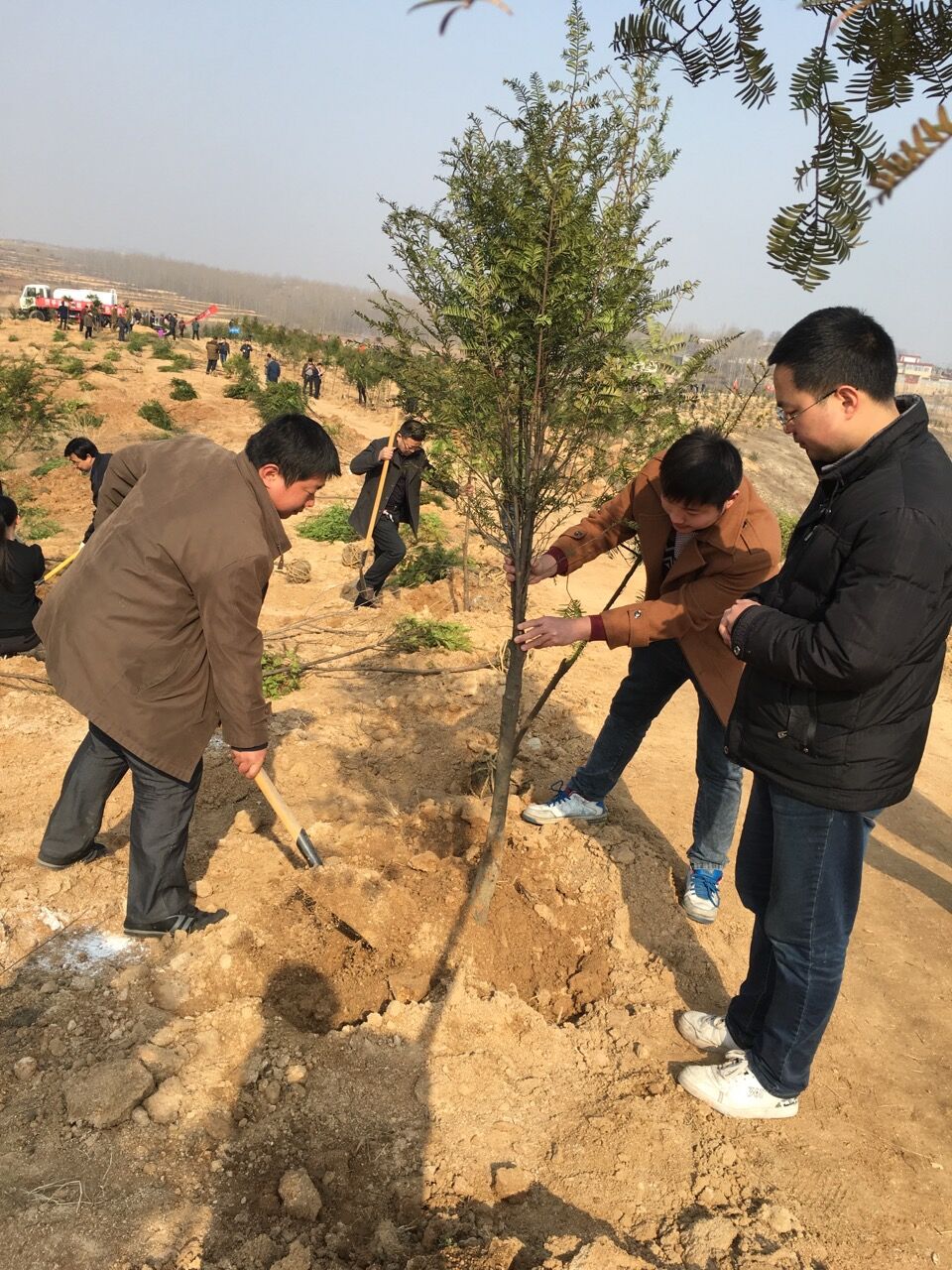 QQ图片20160314082419.jpg