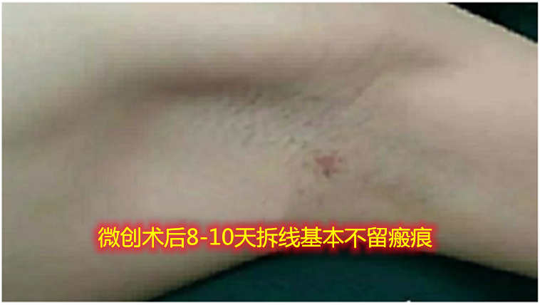 外六科图片.png