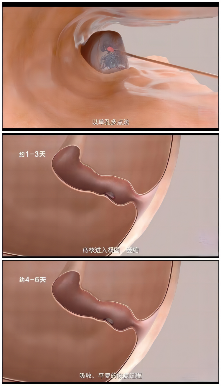 640 (1).png