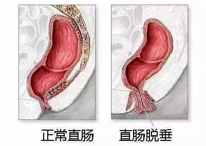 微信图片_20230403161543.png