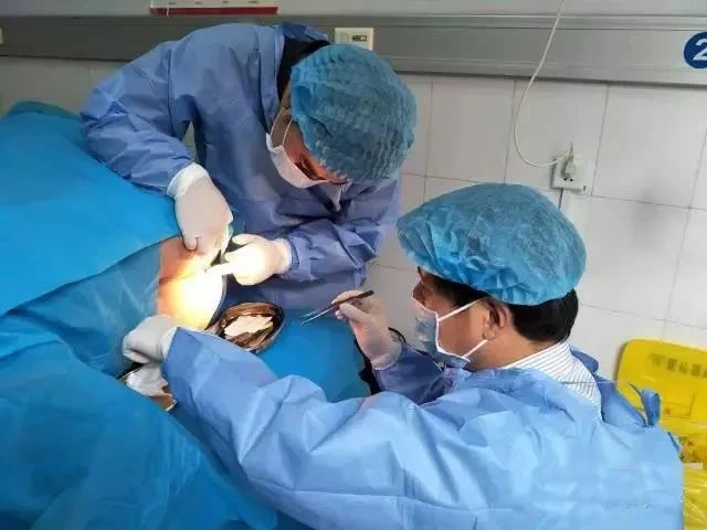 微信图片_20230403161547.jpg